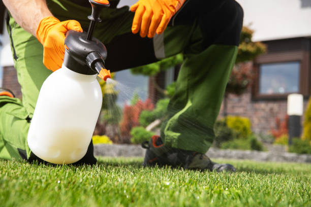 Best Best Pest Control Companies  in Brilliant, OH