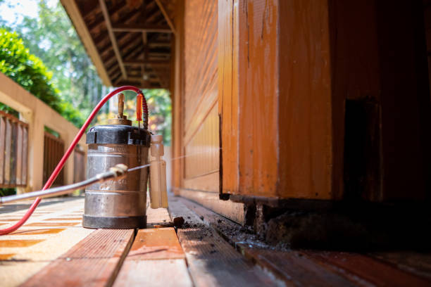 Best Best Pest Control Companies  in Brilliant, OH