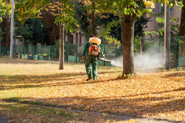 Best Exterminator Services  in Brilliant, OH